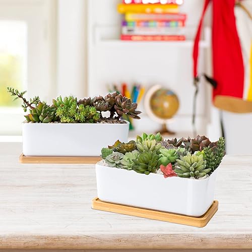 Miniatura 2 de Macetas de cerámica blanca para suculentas, macetas para suculentas de interior y exterior, juego de 2 pequeños contenedores para cactus, macetas