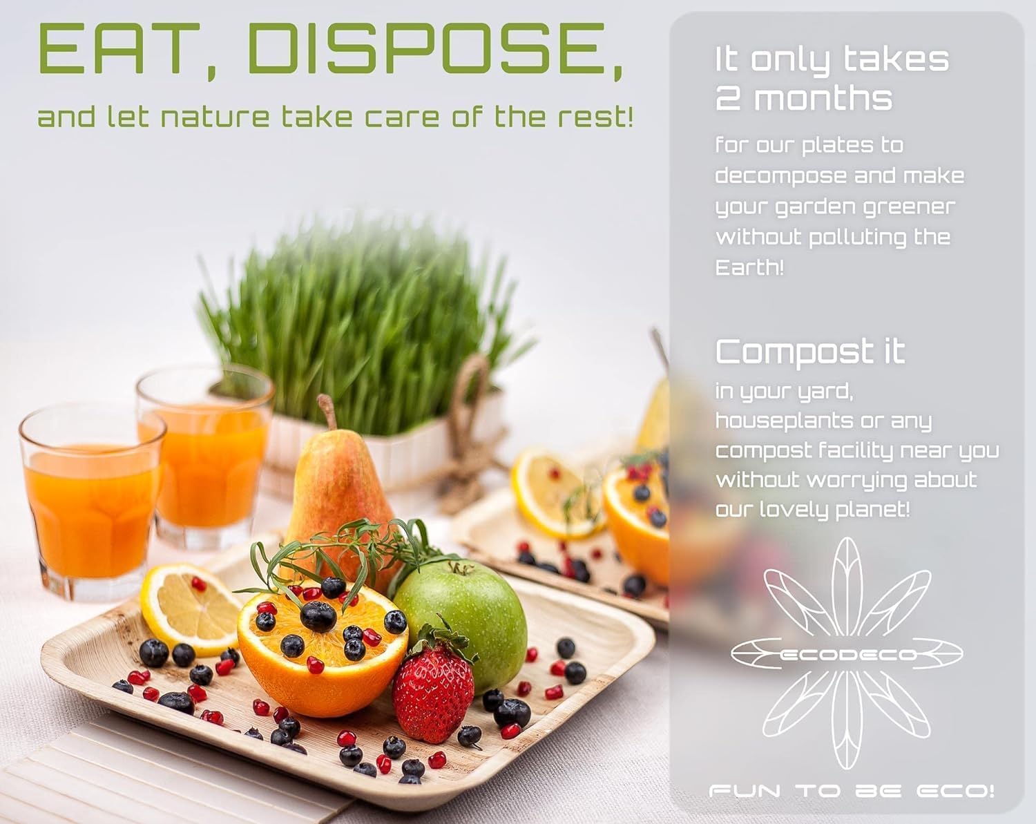 ECODECO 50 platos desechables de hoja de palma de 6 pulgadas, ecológicos como platos de fiesta de bambú para aperitivos o postres