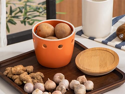 Miniatura 2 de ONEMORE Garlic Keeper grande con tapa, protector de ajo de cerámica de 5 pulgadas, para mostrador, naranja