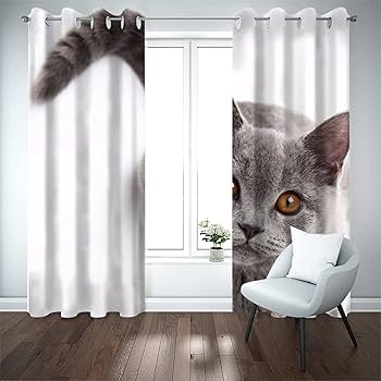 Amazon｜防音カーテン 遮音カーテン 幅110 x 丈215 cm x 2枚入