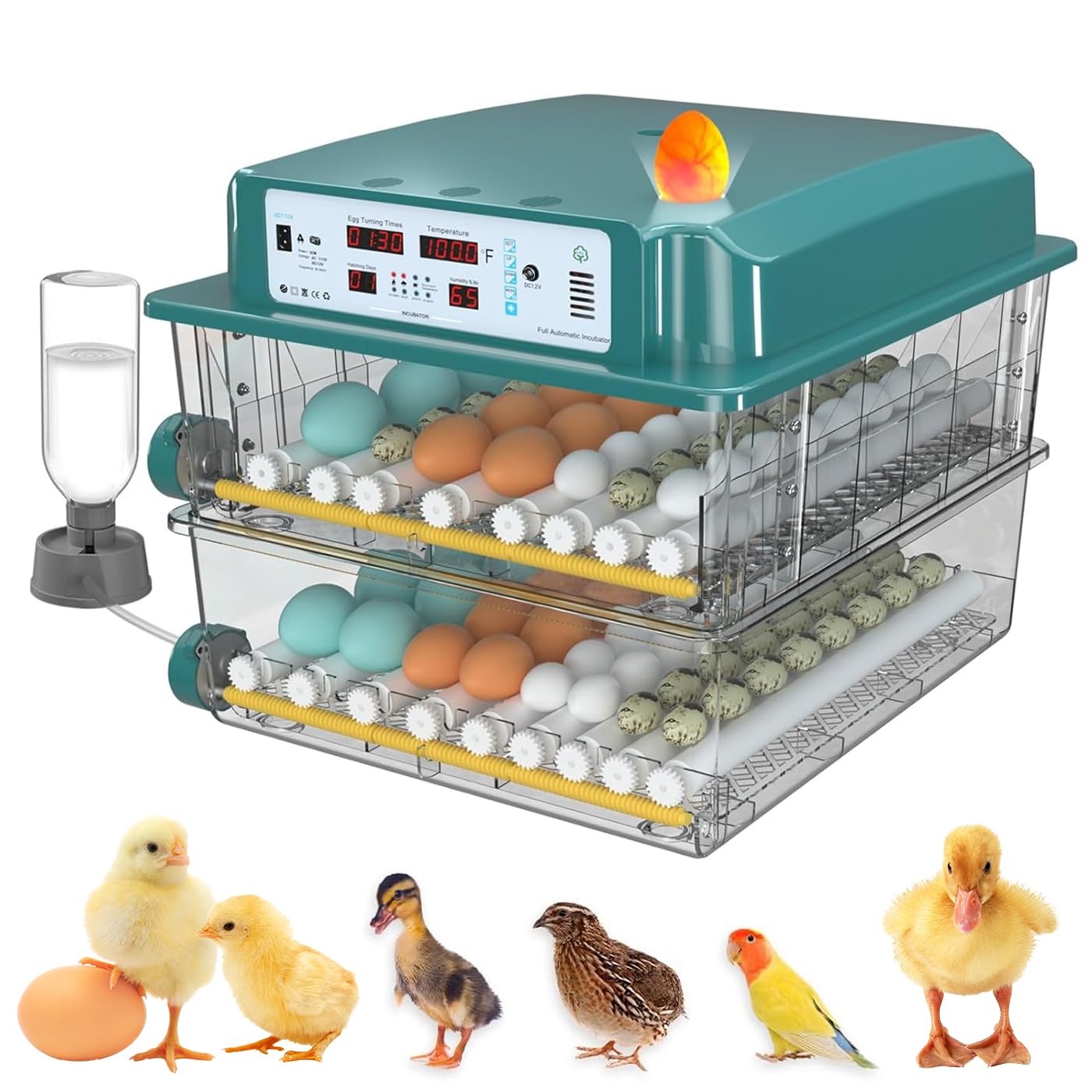 Incubateur à œufs automatique de 120 œufs avec contrôle de température pour canards