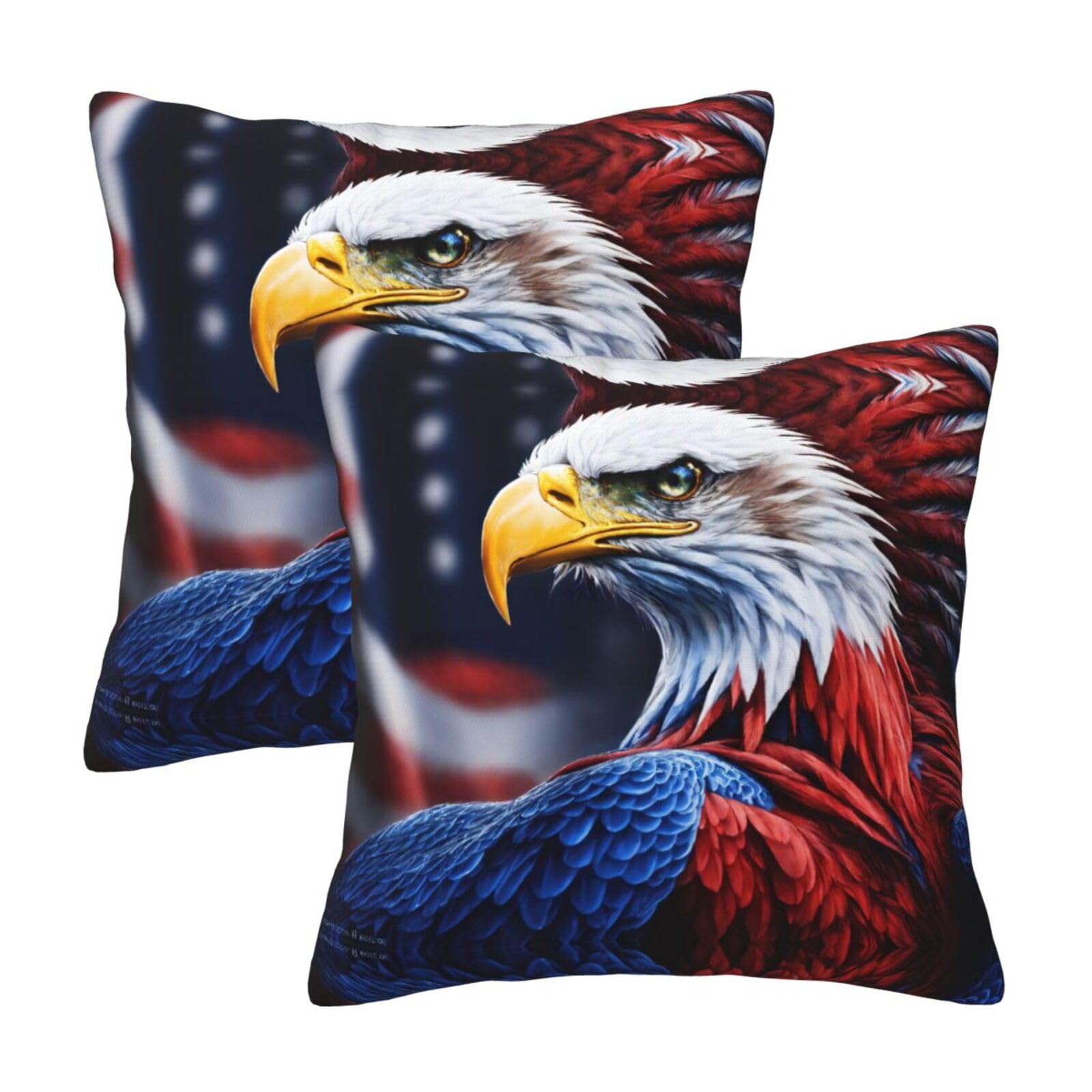 Kfjghhl American Bald Eagle Throw Pillow Covers Decorative Farmhouse Couch Pillow Case 4 Sizes Square Cushion Pillcase