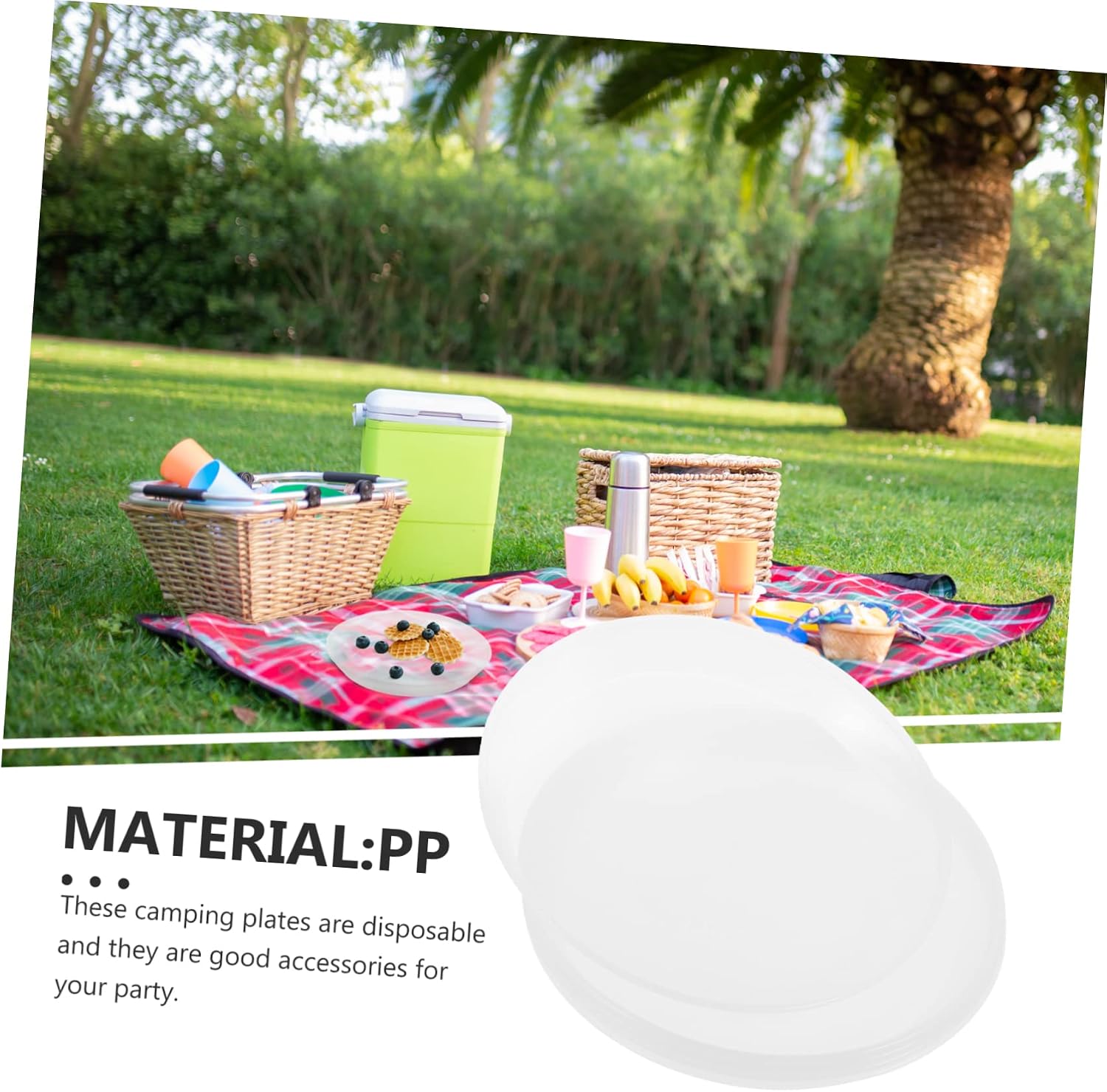 Ipetboom Camping Party Snack Plates 5 Disposable Food Trays for Bbq Party Family Gatherings