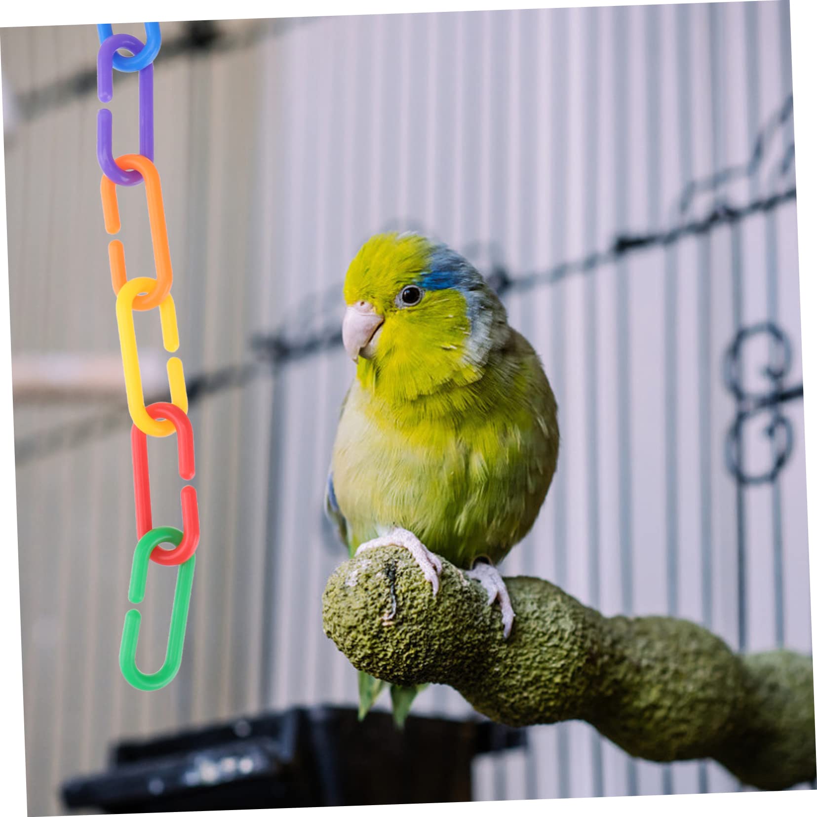 Multi Designs Natürliche Vogels pielzeug Sicherheit Tannenzapfen Mais schale Rat