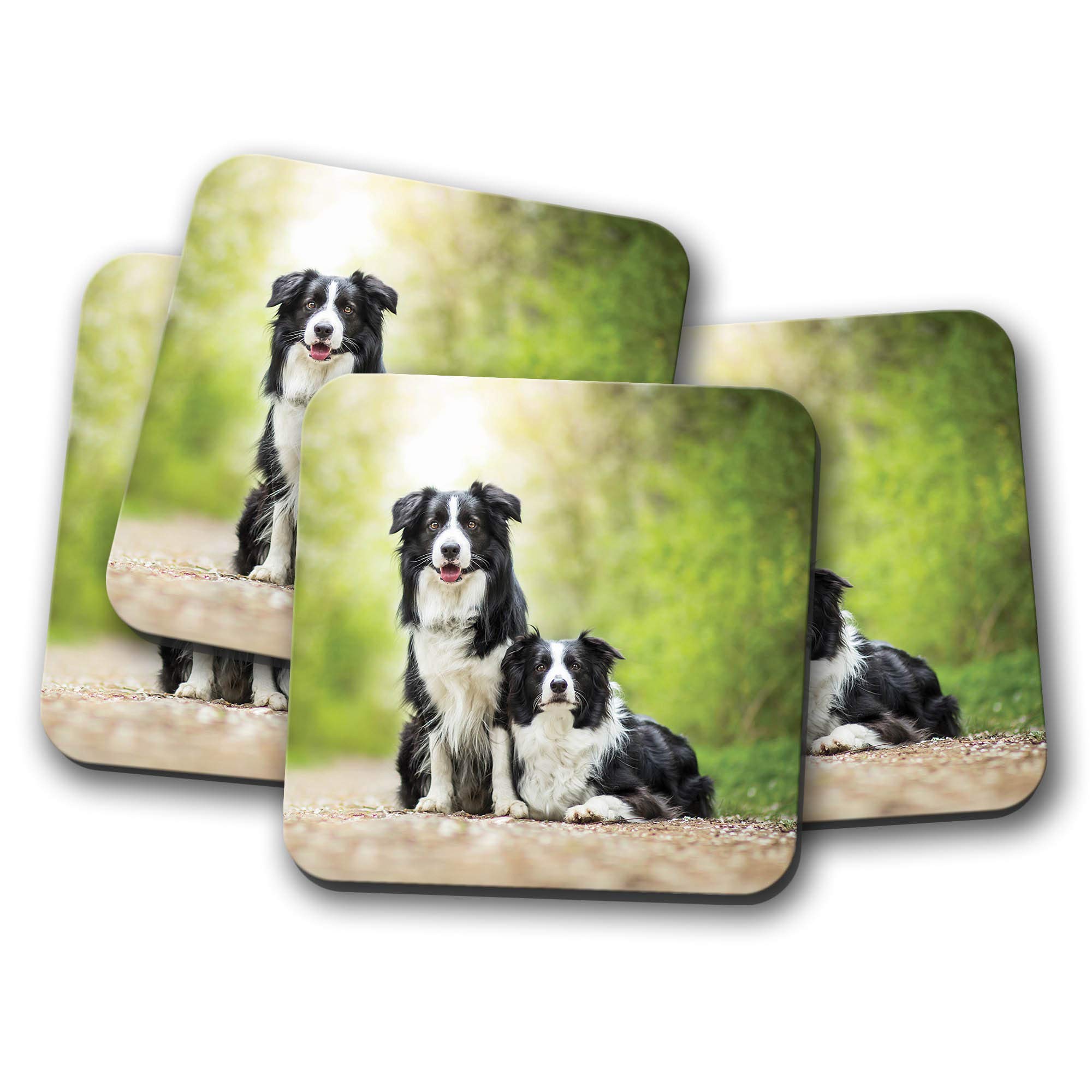Destinationvinyl Multicolor 4 Set - Border Collie Pair Coaster - Dog Sheep Farmer Cute Puppy Fun #8626