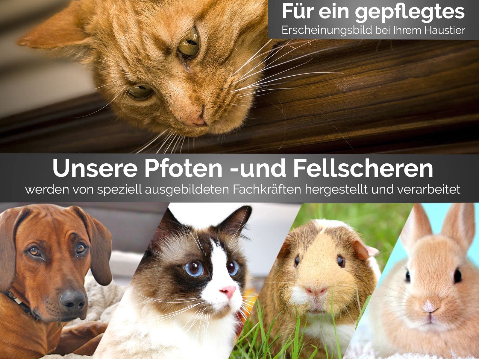 Solinger Premium Hundehaarscheren Fellscheren Set 3-Teiliges Scheren-Set | Solingen Made in Germany Rostfreier Edelstahl Gebogene und mikroverzahnte scharfe Schnittflächen & abgerundeten Scheren Enden
