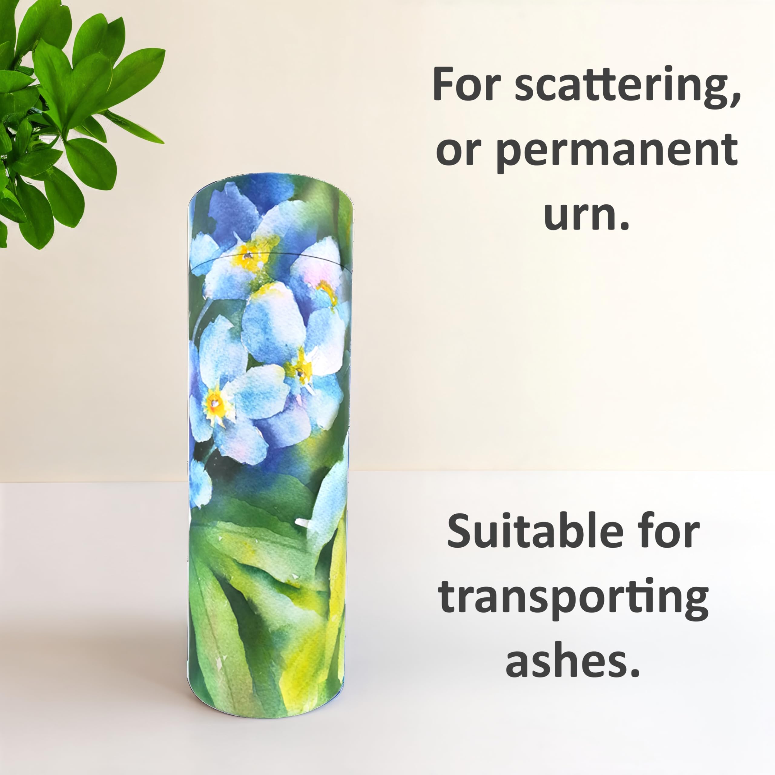 Forget Me Not Tubes à paillettes pour cendres adultes - Urnes funéraires en carton biodégradable (moyen), multicolore