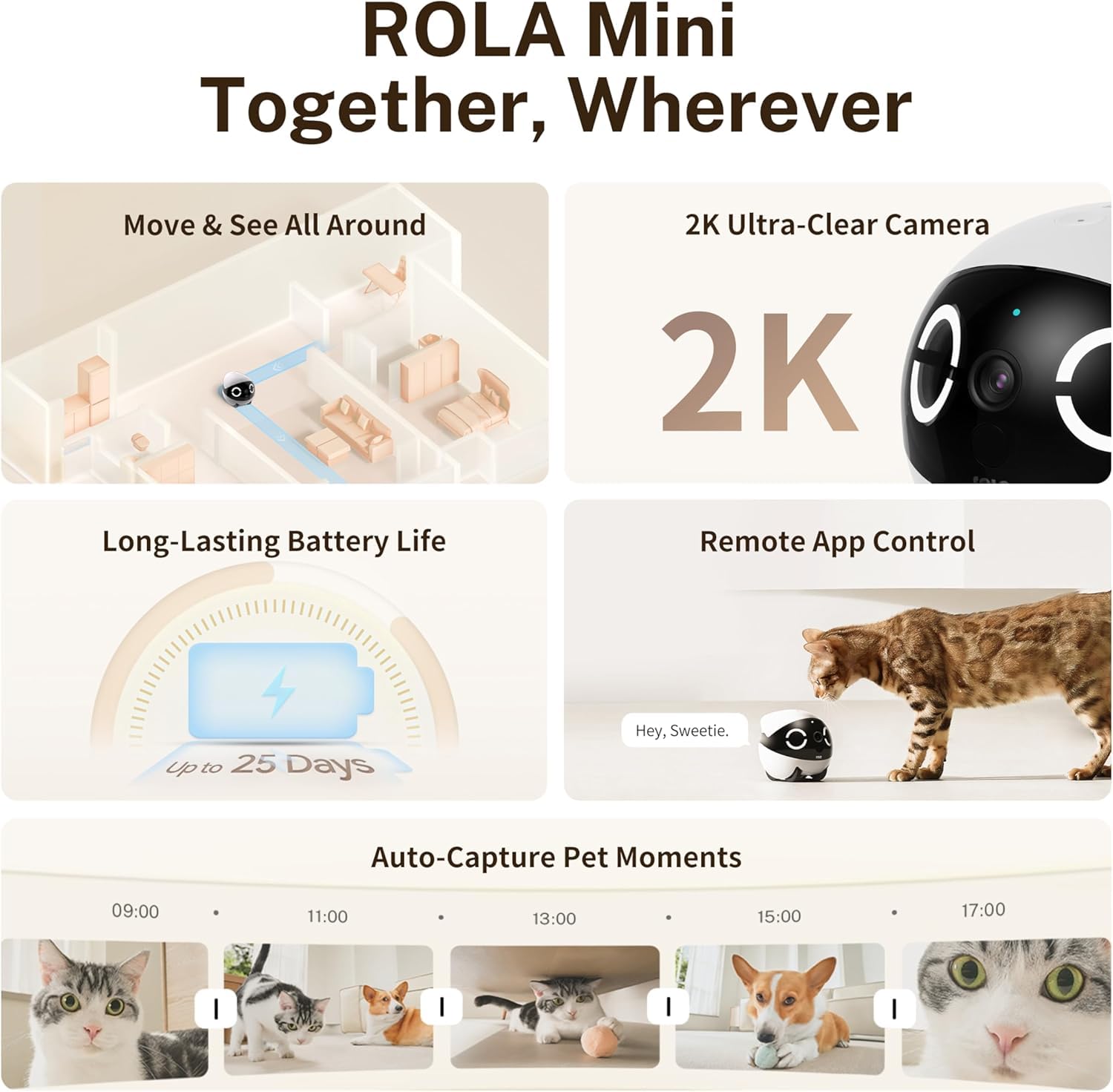 Enabot ROLA - Mini robot divertente per animali domestici