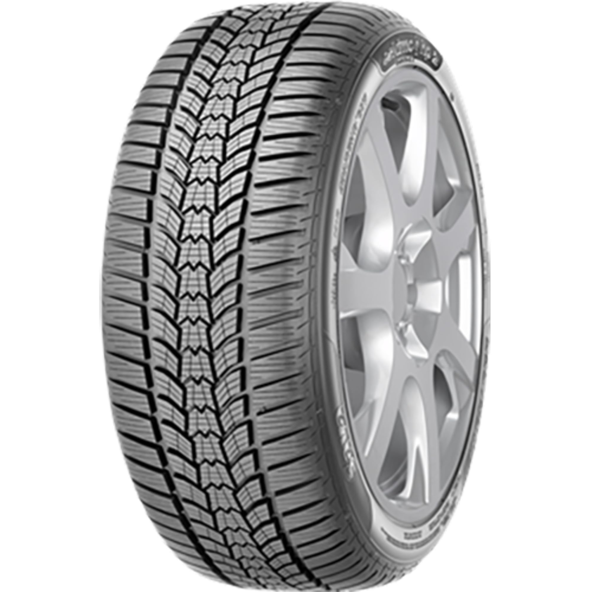 Sava Eskio HP 2 M+S - 205/55R16 91H - opony zimowe