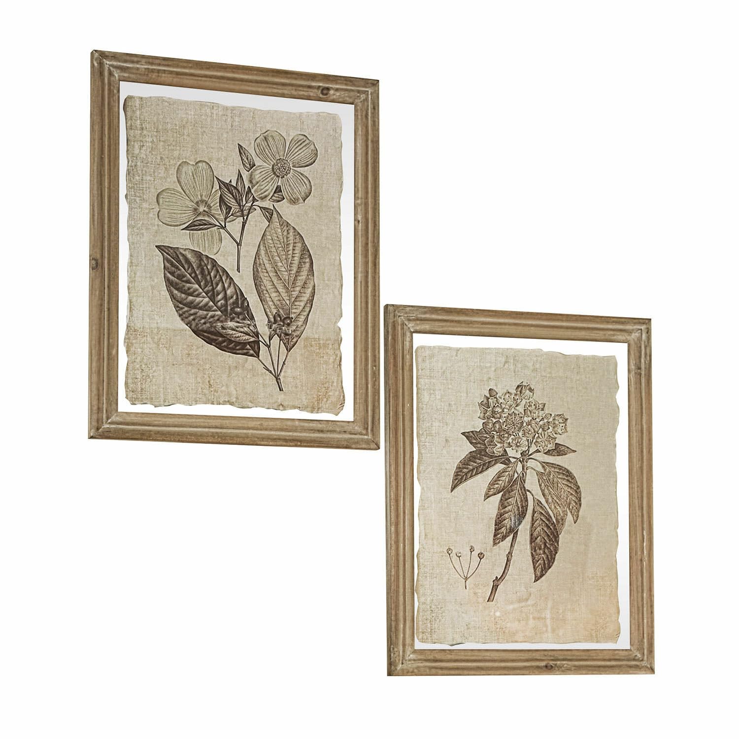 Loberon Bild 2er Set Guyra, nostalgisch gemalte Blumen, faszinierender Vintage-Stil, Wanddekoration, Tannenholz, Papier, Glas, beige/braun