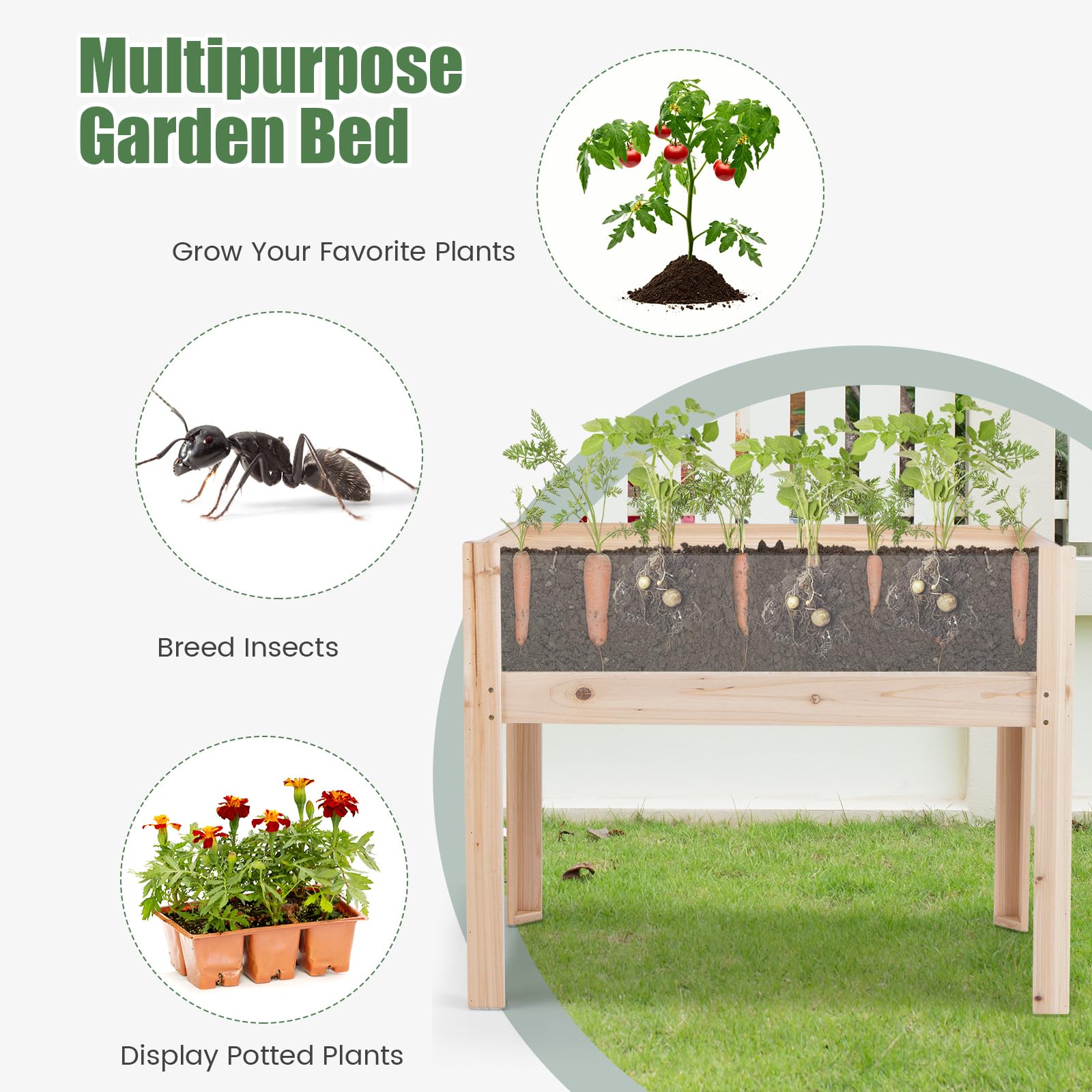 HOMASIS Huerto Elevado de Madera de Abeto con losa acrílica, Cama elevada para Mascotas con 2 Agujeros de Drenaje, Jardinera elevada con Volumen de 50L para balcón, jardín, Natural (100x59x77cm)