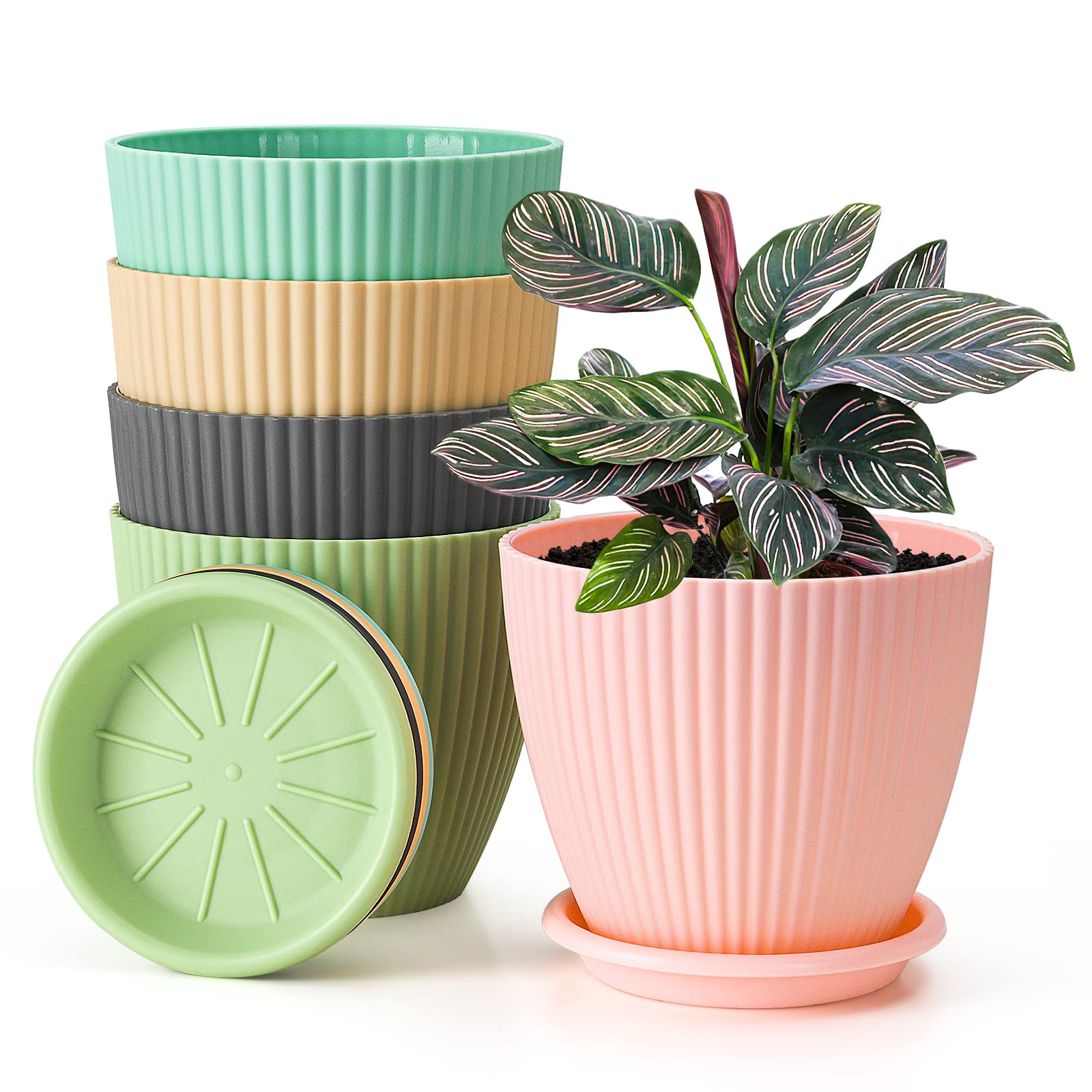 Flower Planter Pots 6 inch, 5 Pack Plastic Plant Pots with Drainage Hole and Base Tray Saucer, Modern...