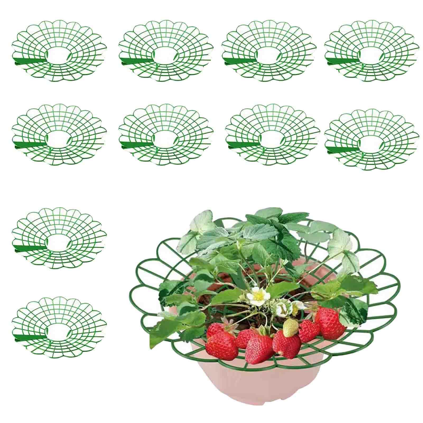 Strawberry Supports, Strawberry Plant Support for Growing Plants, Reusable Strawberry Plant Protector Stand for Garden Balcony Fruit Accessories (10Pcs)