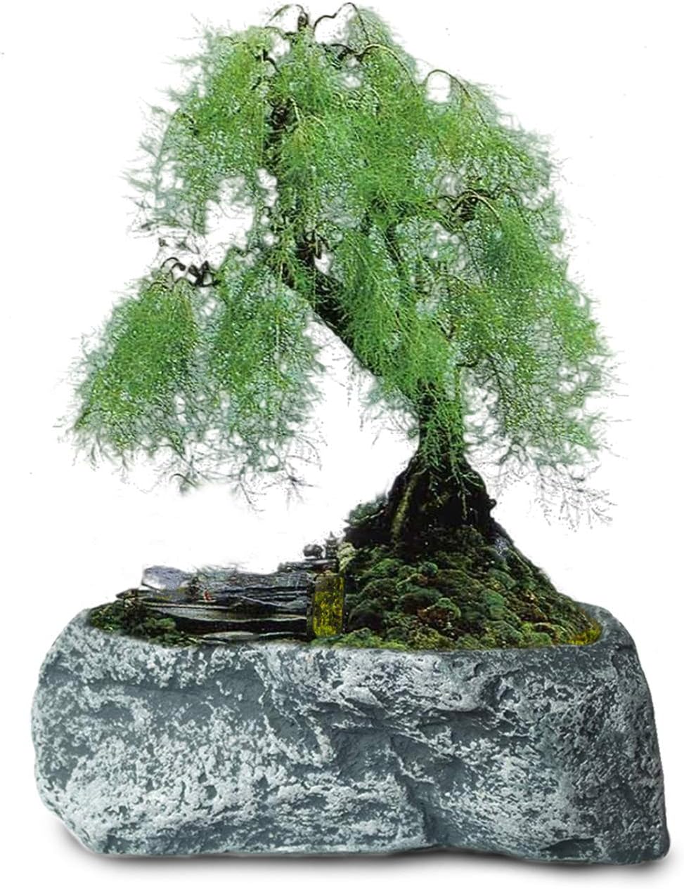 Dahlia Stone Like Handmade Concrete Succulent Planter/Plant Pot/Flower Pot/Bonsai Pot, 2