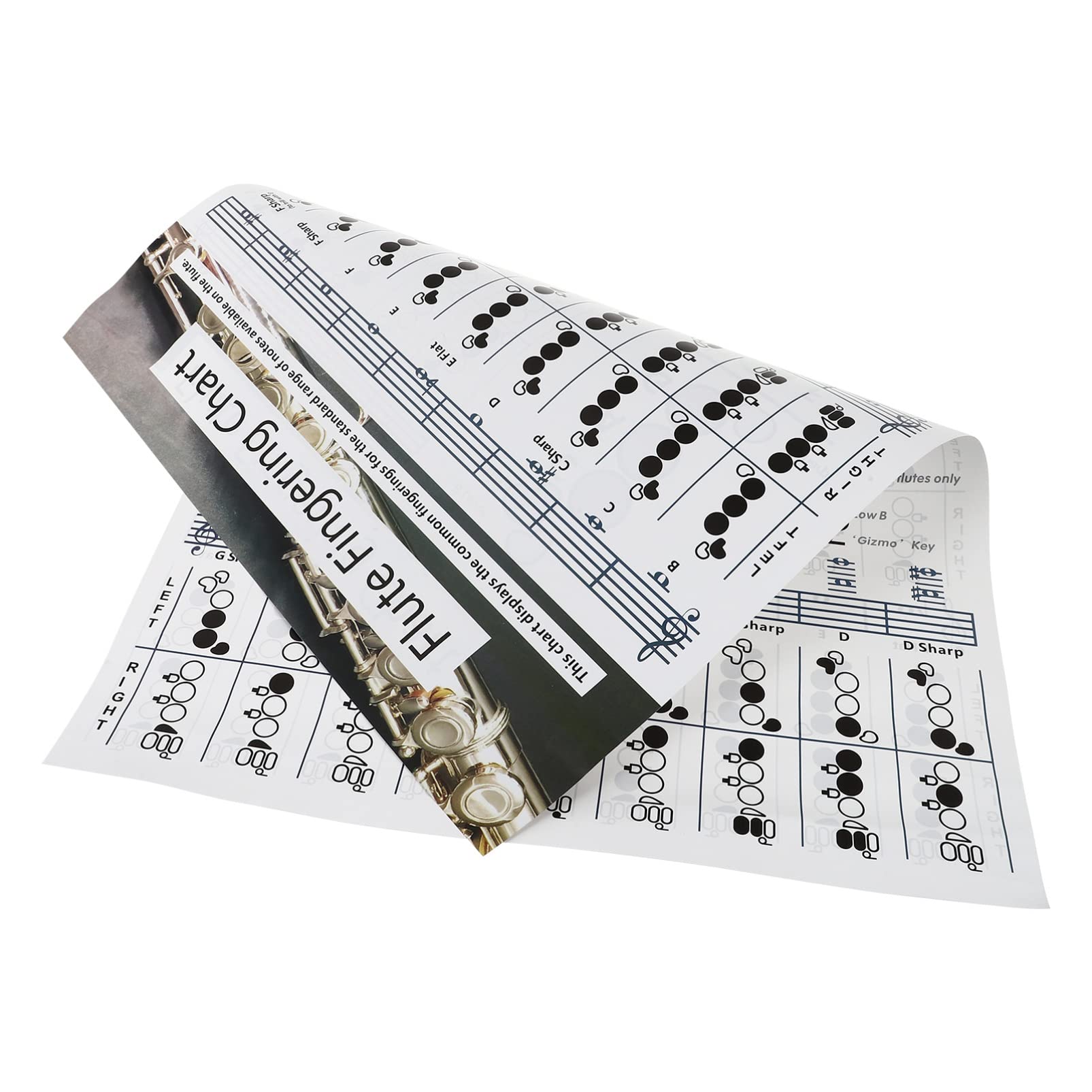 Buy SUPVOX Flute Chord Chart Flute Reference Fingering Practice Chart