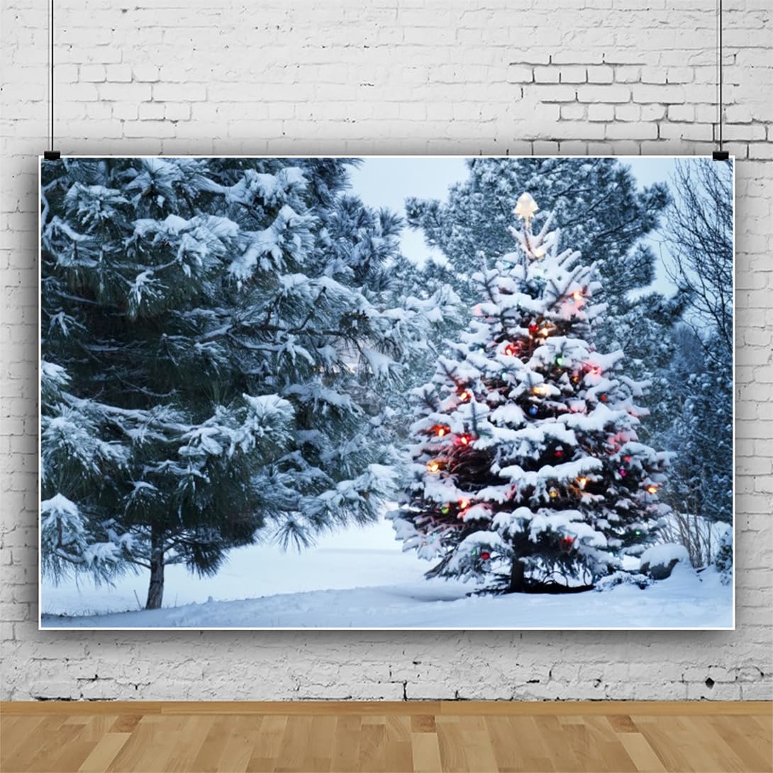 Toile De Fond De Scène De Fenêtre De Montagne De Neige D'hiver D952