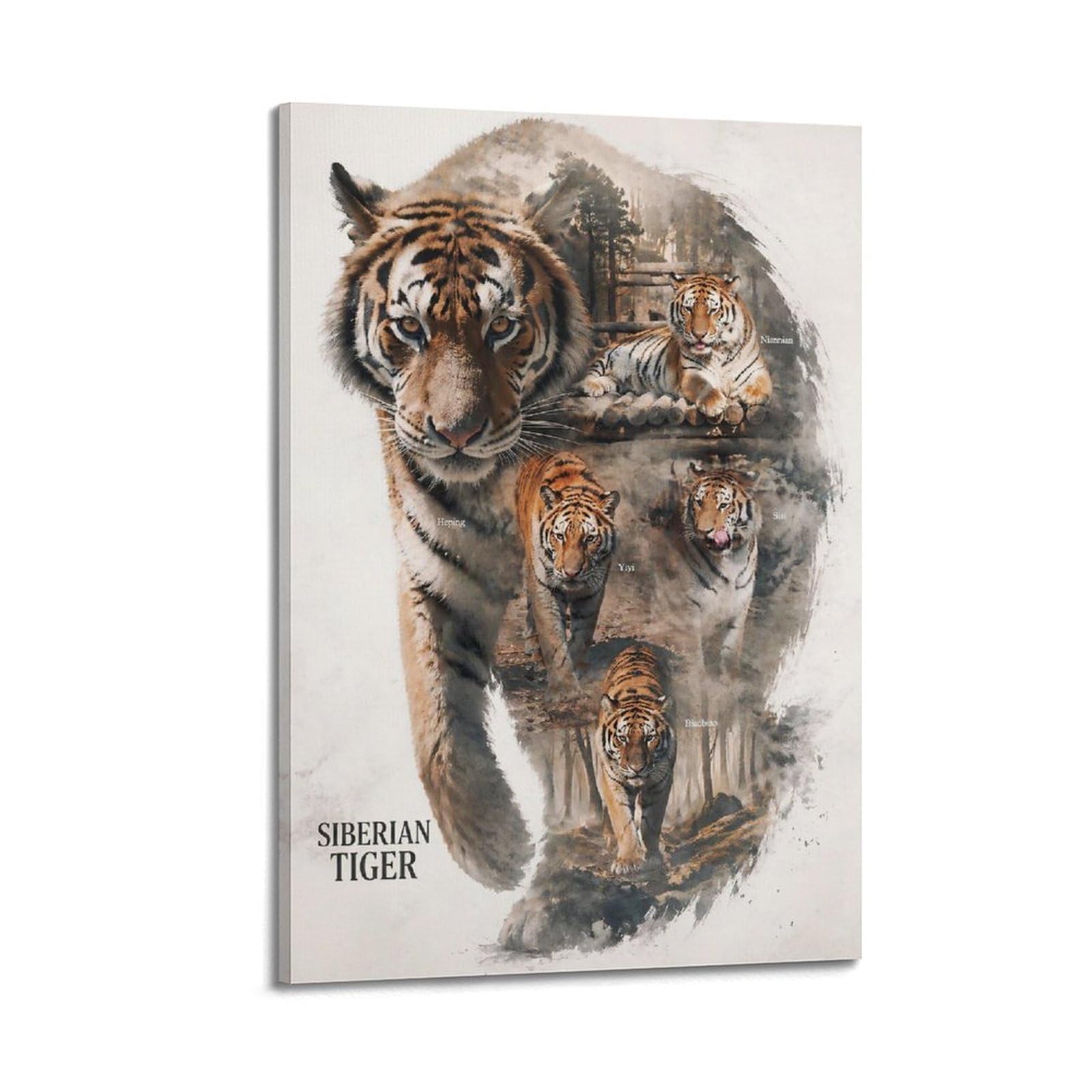 Xkuga Boys Frame-Style Wild Felines Art Posters Siberian Tiger Predator Safari Modern Decorative Canvas Prints - Ideal Wall Art For Family, Man Cave, Game Room, & Girls Bedroom 20X30inch(50X75cm)
