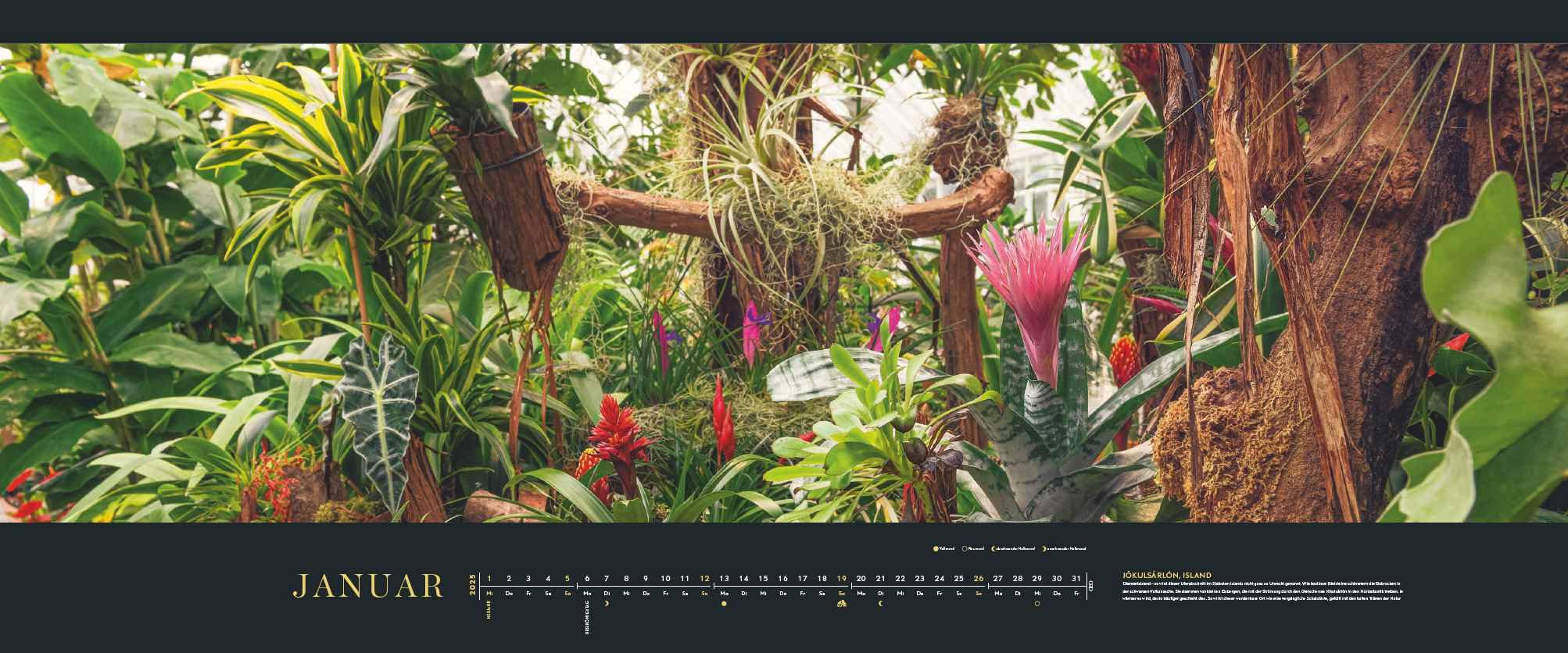 GEO Panorama 2025 - Calendario da parete con paesaggi da giardino, extra largo, 120 x 50 cm