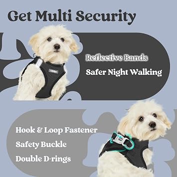 rabbitgoo Dog Harness Small Dog, Step-in Soft Mesh Vest, Black | Easy to Wear, Lightweight & Breathable, Escape Proof with Secure Buckle, Reflective Strips, for Small Medium Dog Walks, M