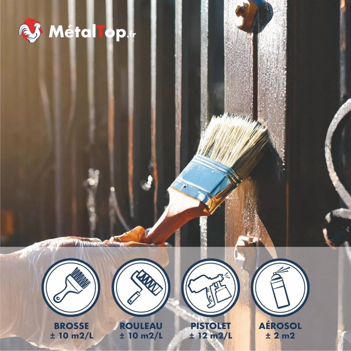 Metaltop Antirouille Incolore 1 L Protection transparente contre la rouille pour métaux