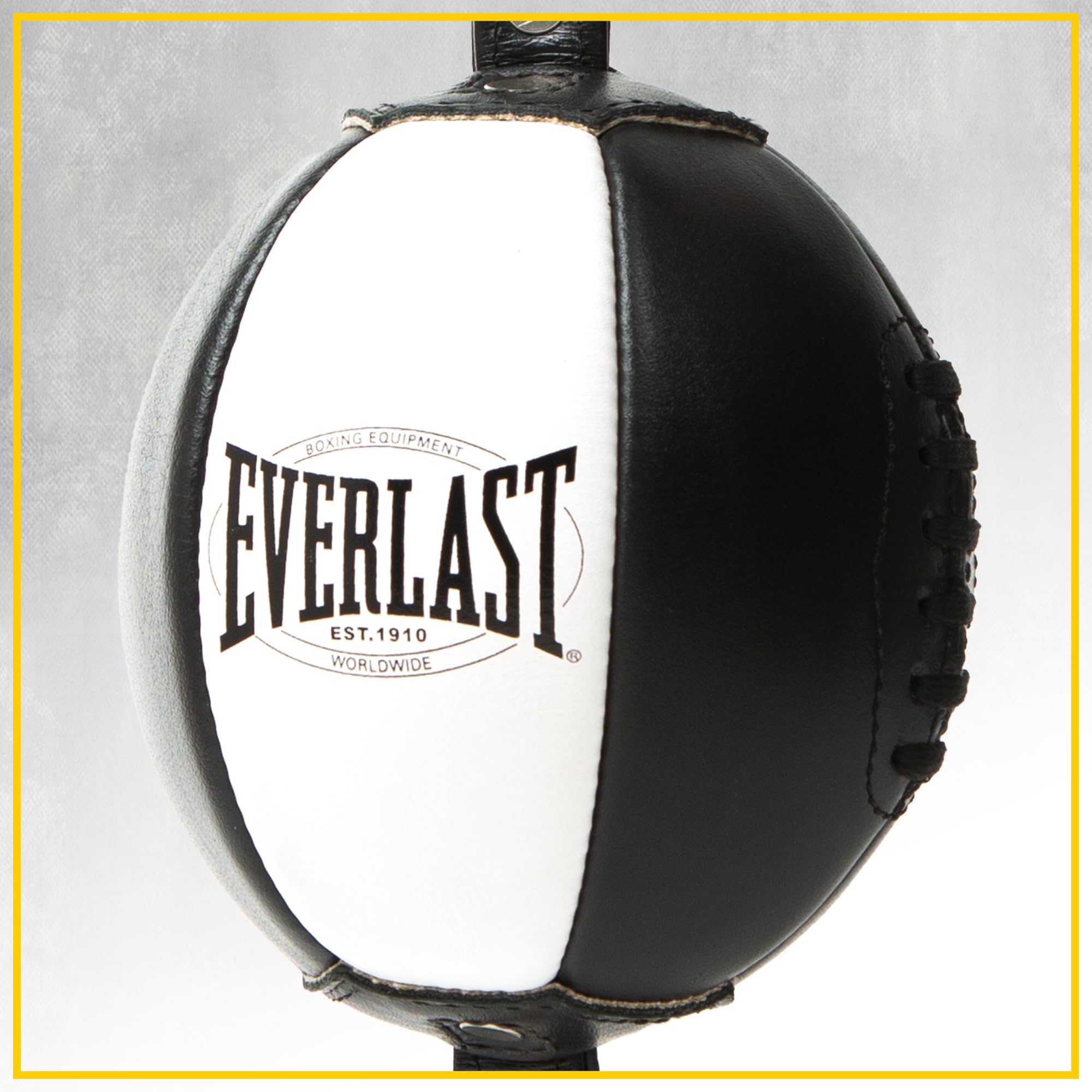 Everlast Unisex - Adult 1910 Double End Speed Bag Punching