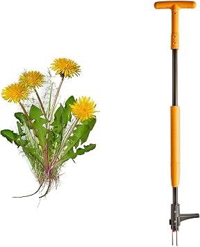 Stand Up Weed Puller Tool with Long Handle - 39 Ergonomic Weeder Puller - Heavy Duty Weed Remover for Weeding Without Bending or Kneeling - Garden Tools for Gardening by Garret Wade