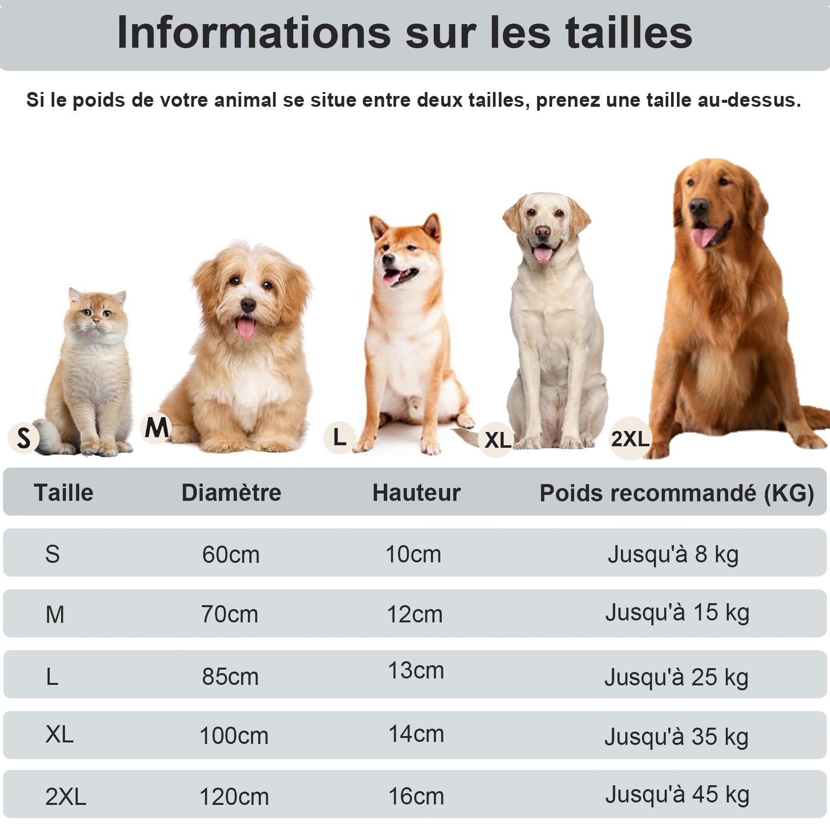 Coussin Rond Chien Grande Taille XXL, Panier Chiens Moelleux et Apaisant, Canapé Lavable, Tapis Matelas Lit Antidérapant pour Petit Moyen Animaux (Café Ombré,L 100 x l 100 x H 14cm)