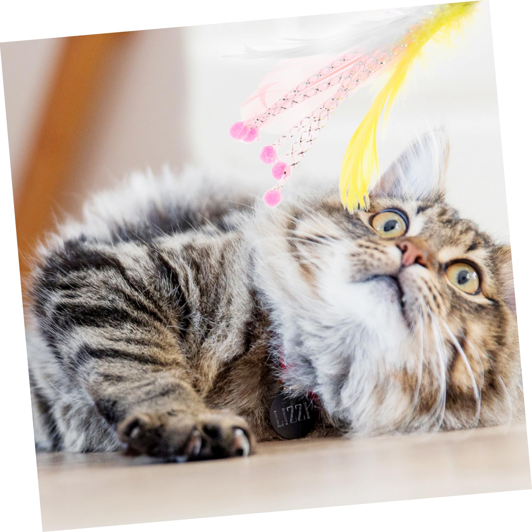 40pezzi Giochi Interattivi Con Piume Per Gatti Ricambi Per Bastoni Da Gioco Giocattoli Leggeri Per Divertire Gatti Indoor e La Noia