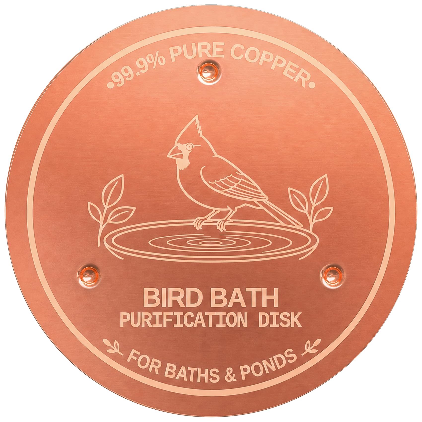 Azomabox Copper Disc for Bird Bath, 99.9% Pure Copper