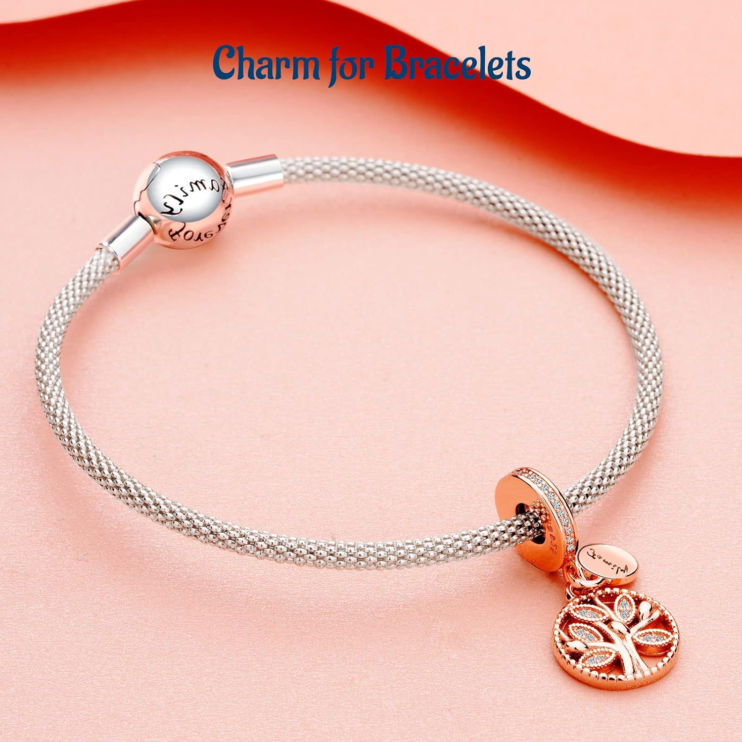 S925 Charms for Pandora Bracelets and Necklaces, Gifts for Women on Birthday, Aniversary, Christmas, Mothers Day, Valentine's Day, Charm for Couples, Family, Friend, Girlfriend, Mom, Sister - Image 5