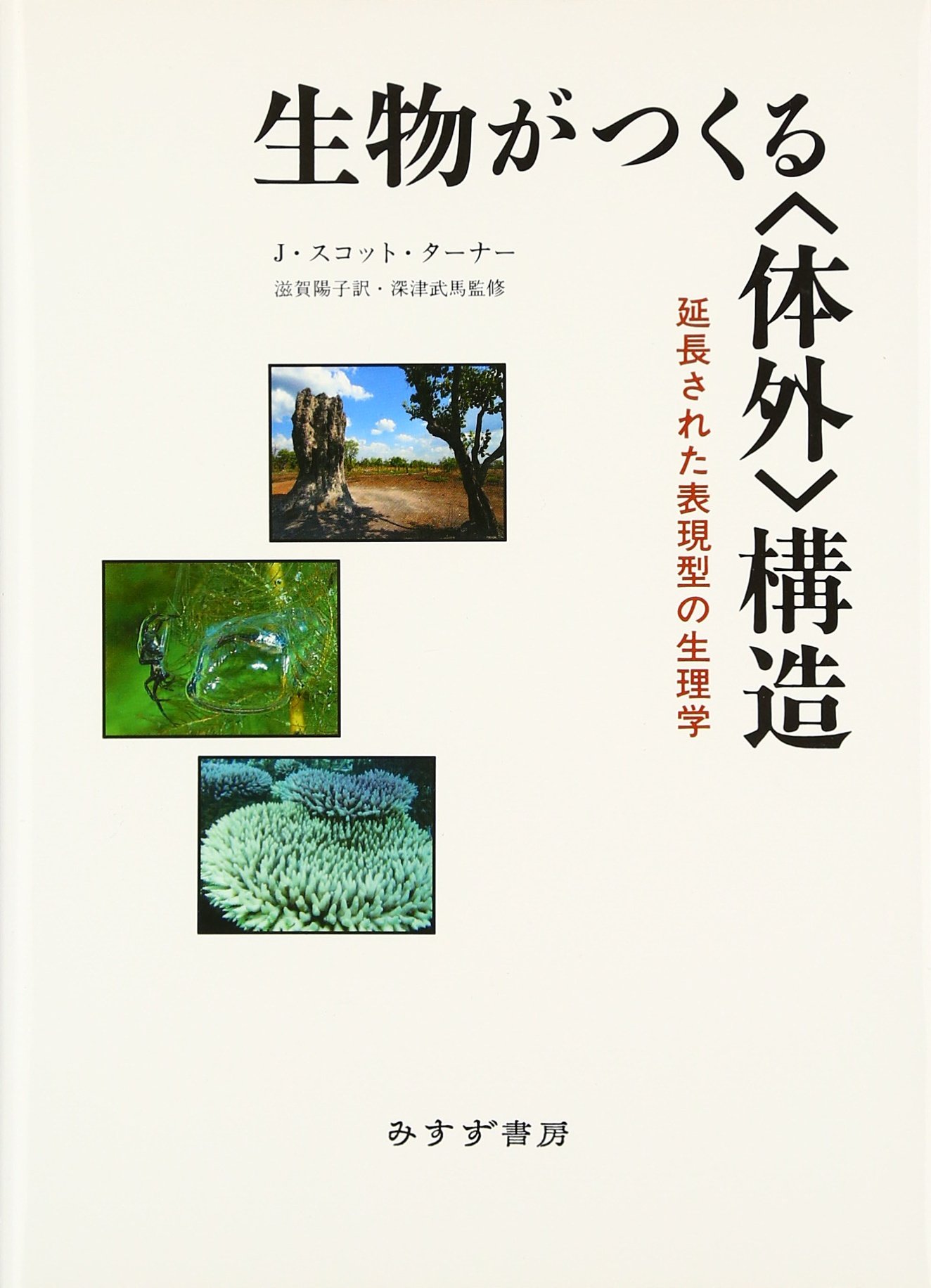 カルチュラル・ミスエデュケーション : 「文化遺産の伝達」とは何なのか Amazon.co.jp: 絶対に明かされない世界の未解決ファイル99