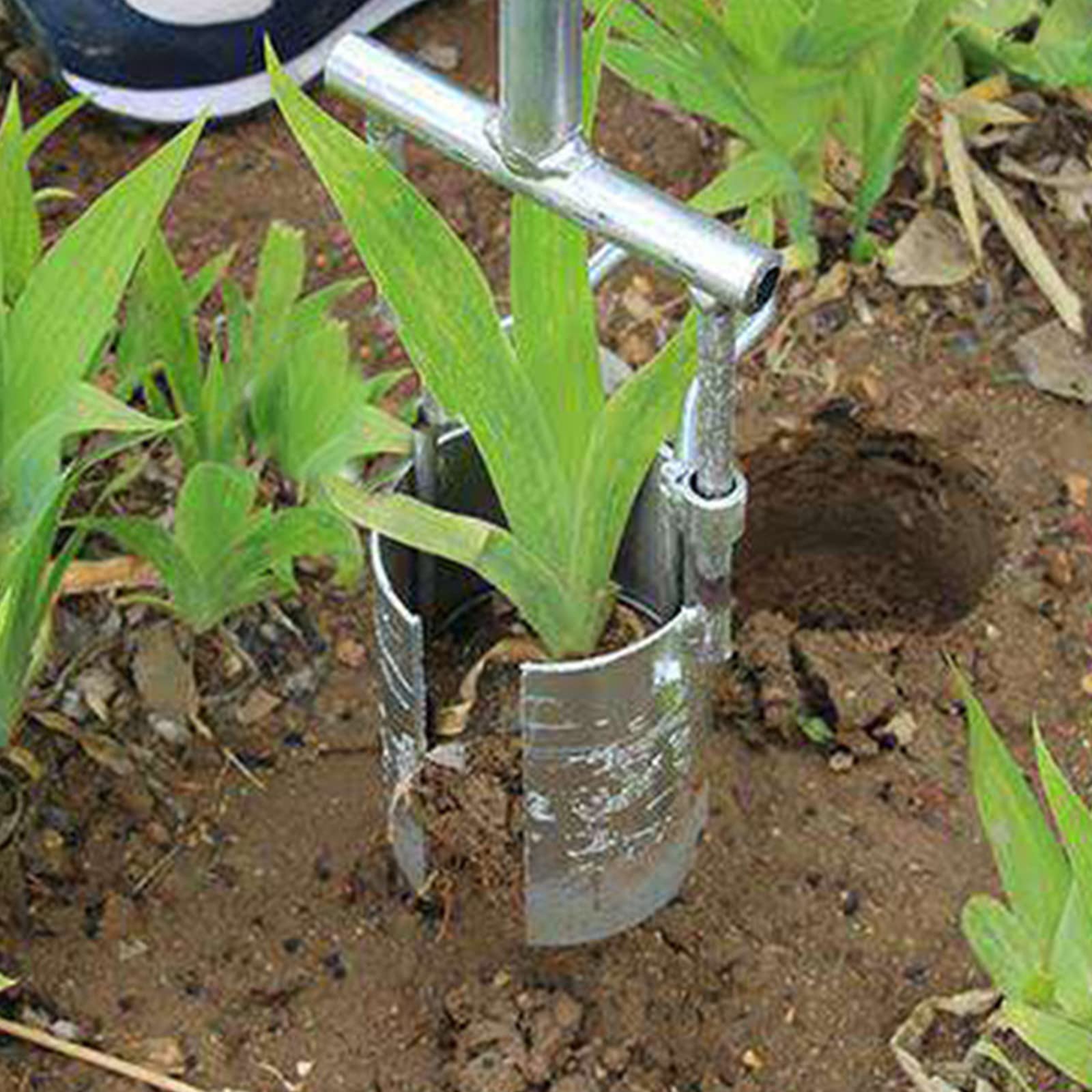 Set di fioriere per bulbi, attrezzo da Giardino, diserbatore per fioriere a bulbo, campionatore di Terreno, per barbabietole di lattuga ravanello Penetrazione più Facile