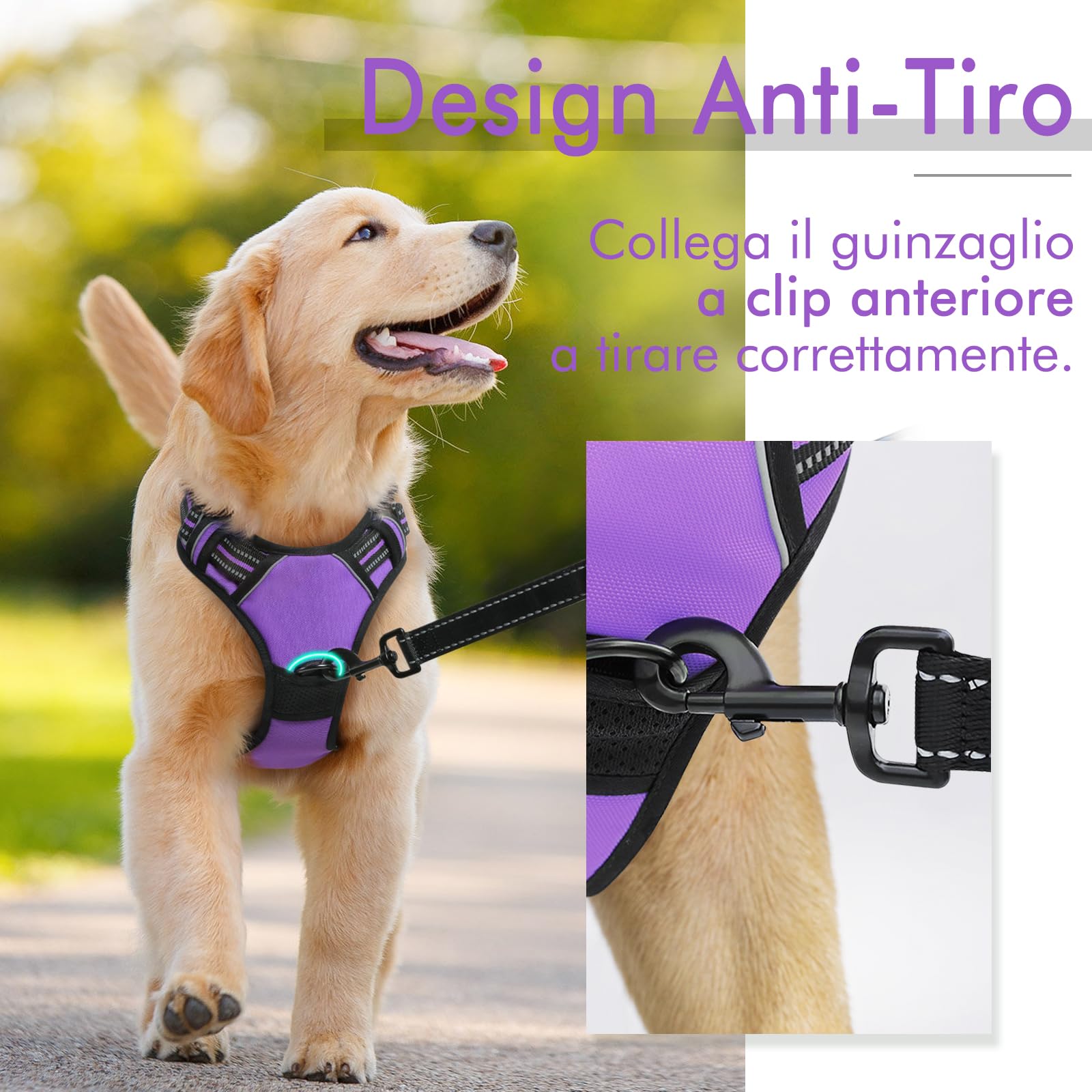 rabbitgoo Pettorina Cane Taglia Piccola, Pettorina Cane ad h Regolabile con 2 Ganci in Metallo, Imbracatura per Cani Anti Tiro Riflettente, Imbracatura Traspirante per Addestramento, Viola, S