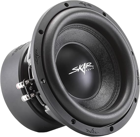 Amazon.com: Skar Audio SVR-10 D4 10 