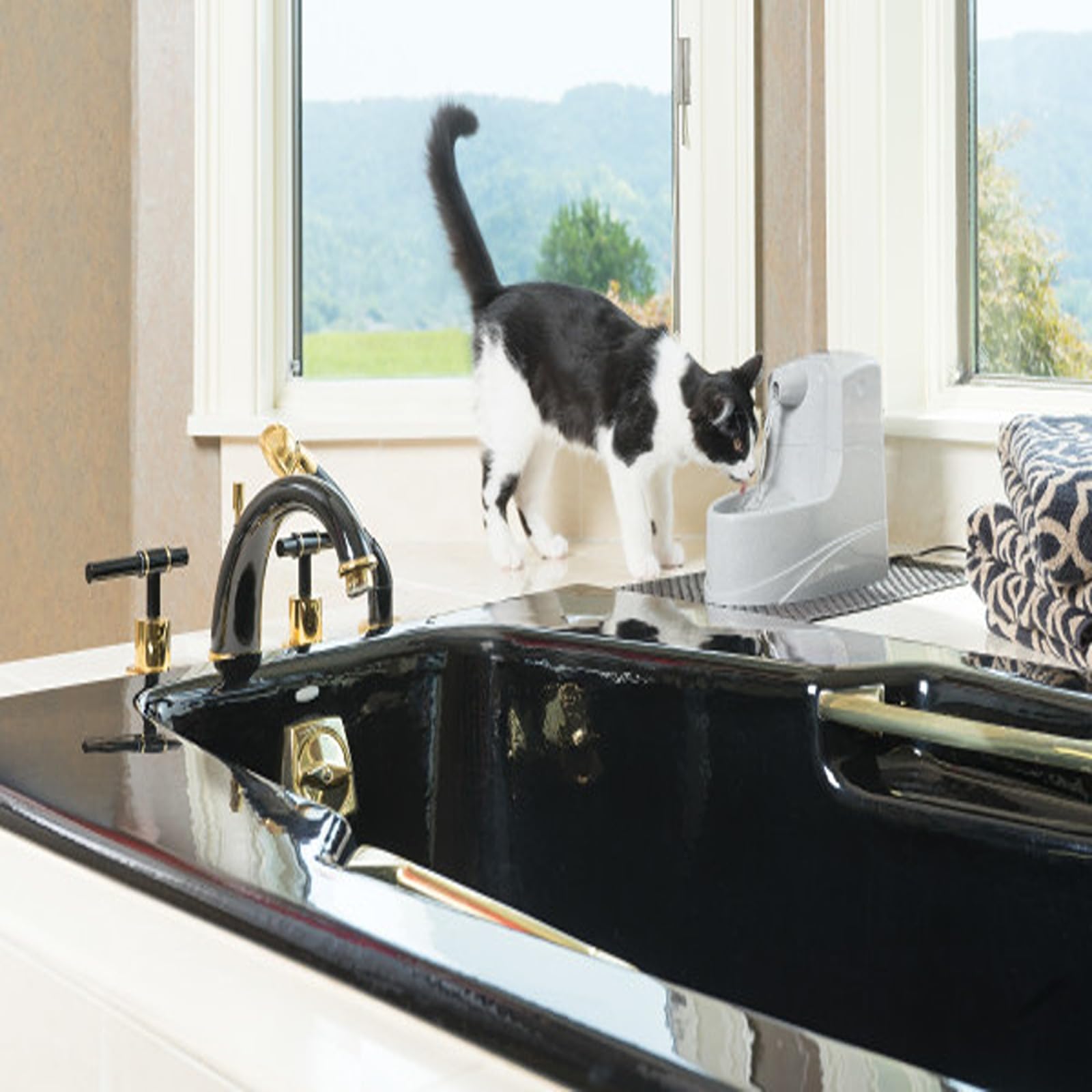 PetSafe Drinkwell Trinkbrunnen Mini, Zweifaches Filtersystem, Für kleine Hunde und Katzen geeignet, 1,2 Liter Wasserkapazität