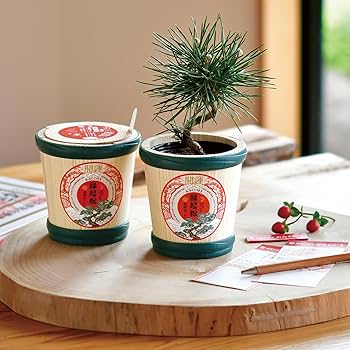 Amazon|聖新陶芸 春/秋の 手のひら庭園 まめ盆栽 盆栽キット ミニ Amazon|聖新陶芸 春/秋の 手のひら庭園 まめ盆栽 盆栽キット ミニ