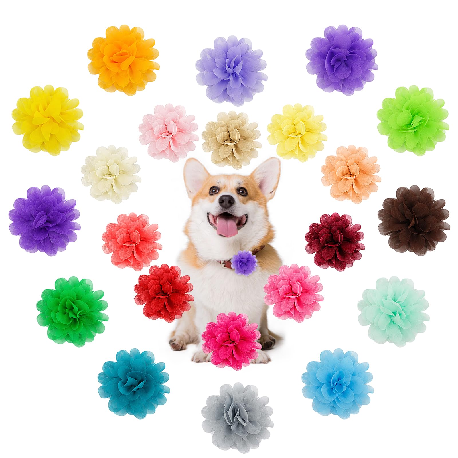 24 Pcs Dog Flower Collar Accessory, Multi-Color Pet Flower Collars