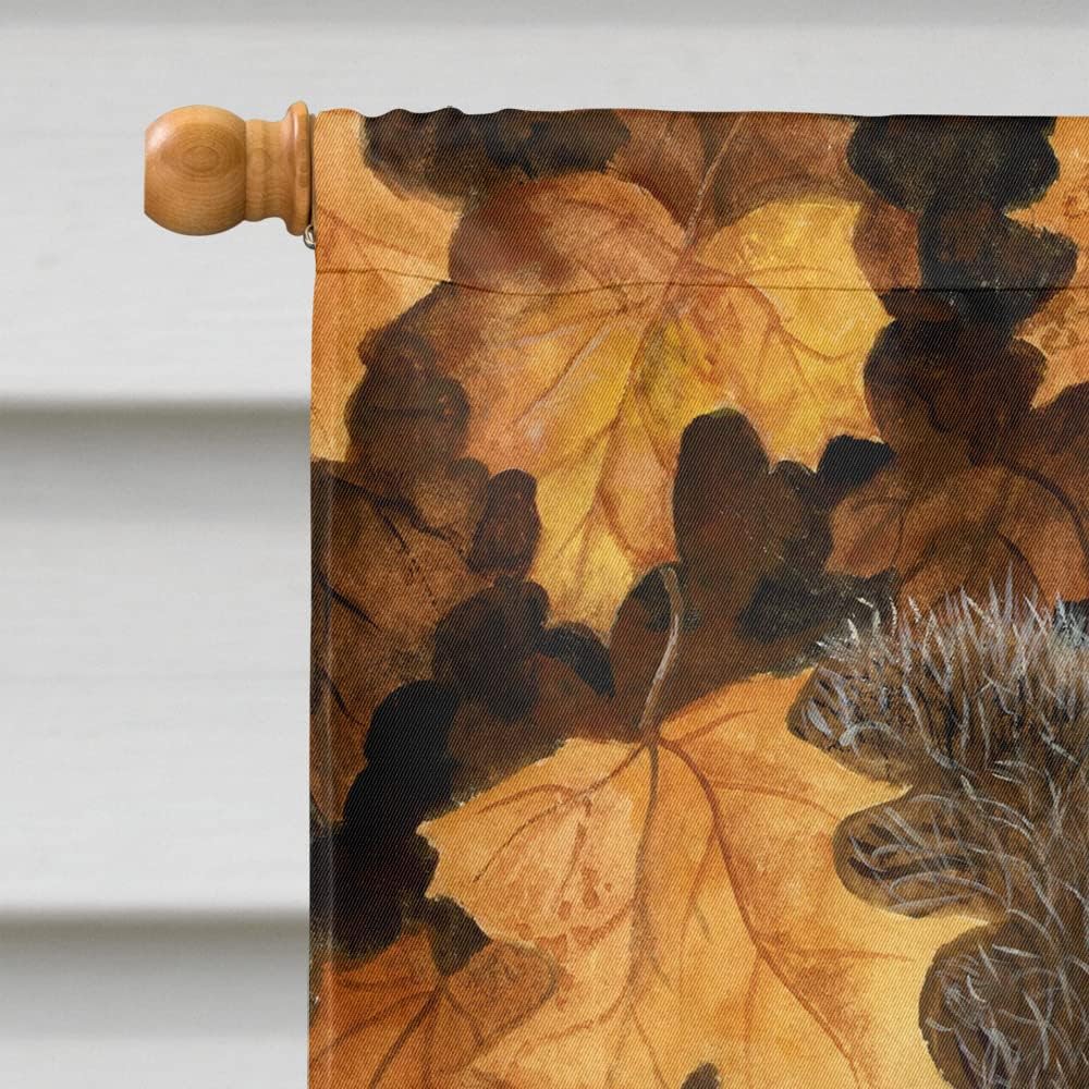 Caroline's Treasures BDBA0388CHF Autumn Grey Squirrel by Daphne Baxter House Flag Large Porch Sleeve Pole Decorative Outside Yard Banner Artwork Wall Hanging, Polyester, House Size, Multicolor