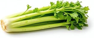celery Top3商品