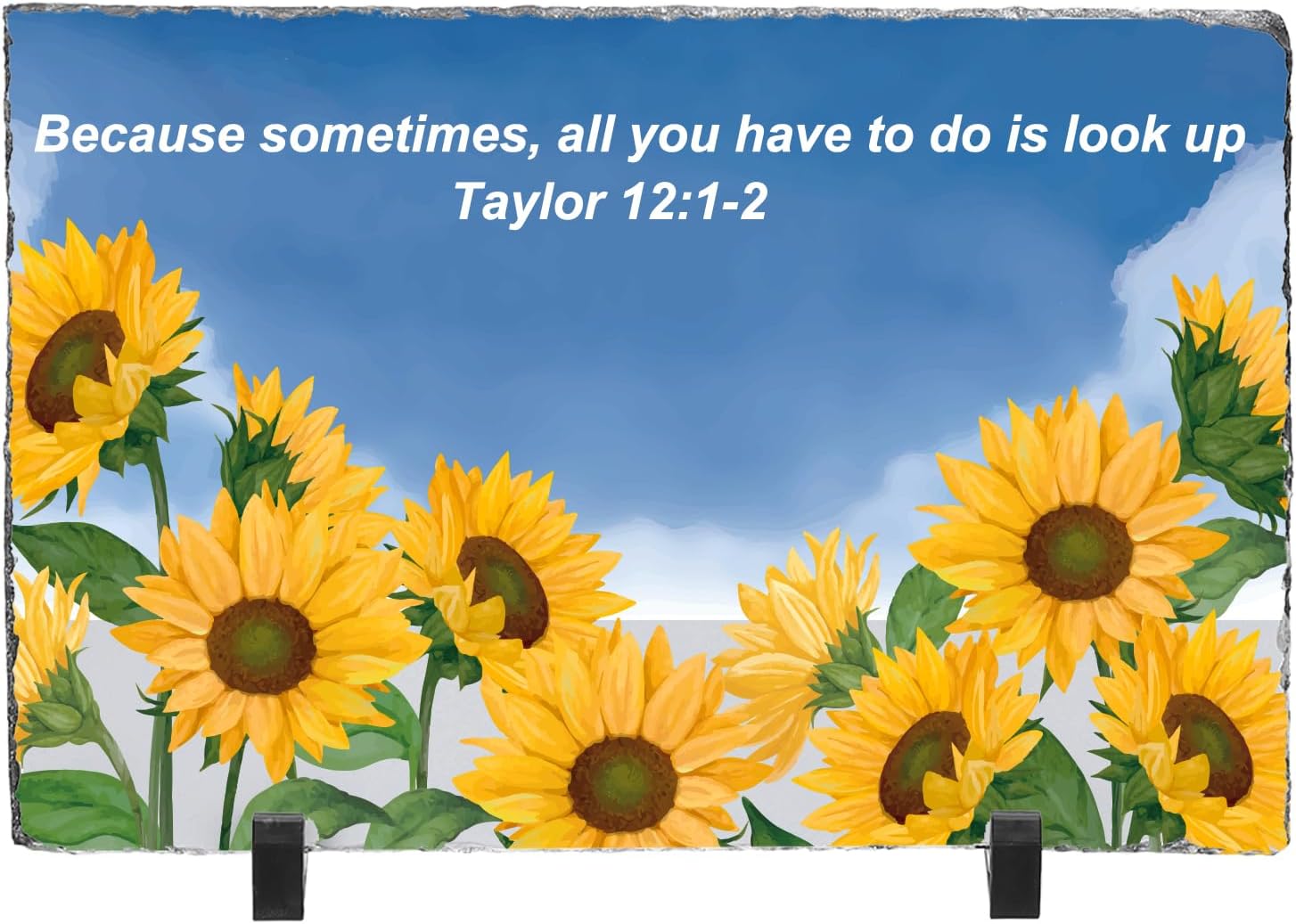 PATIKIL Sublimation Slate Blanks, 6 Pcs Rectangular Stone Sublimation Photo Frame Heat Press Sublimation Plaque for Making Memorial for A Friend, Dog, Personalized Gift, White, 11.8 x 7.9