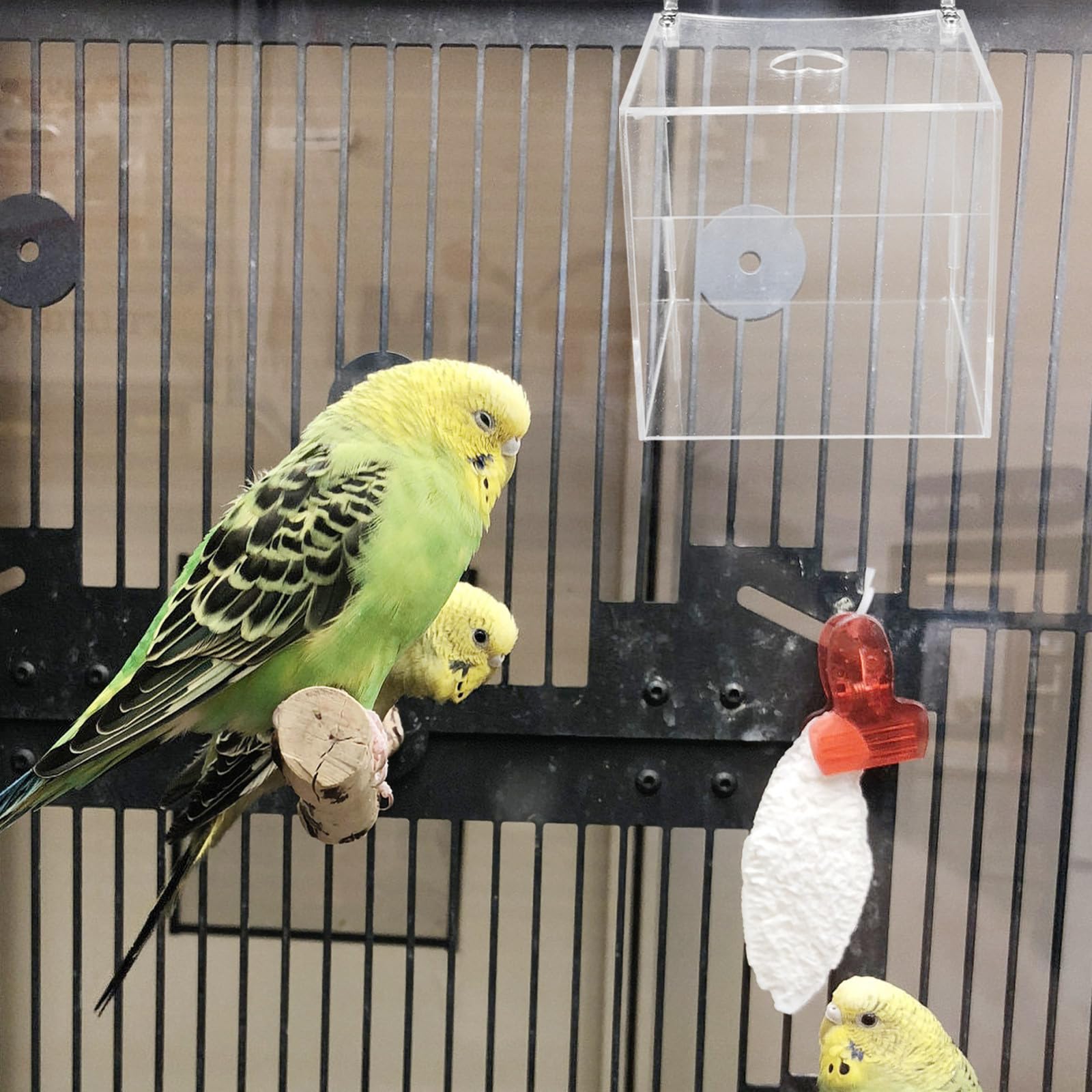 Praktisches Käfigzubehör Transparente Vogelbadewanne aus Acryl zur Hautbefeuchtung und Reinigung für Papageien und Vögel im Vogelkäfig