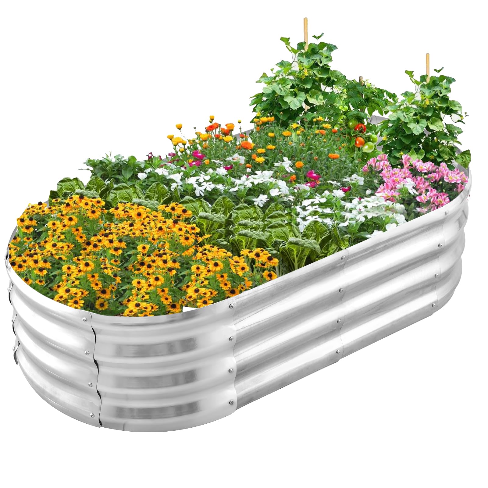 Raised Bed Metal 120 x 60 x 30 cm, Galvanised Steel Raised Bed for the Garden, Vegetable Bed, Garden Bed, Raised Bed for Vegetables, Herbs, Flowers, Garden Bed, Silver, Oval