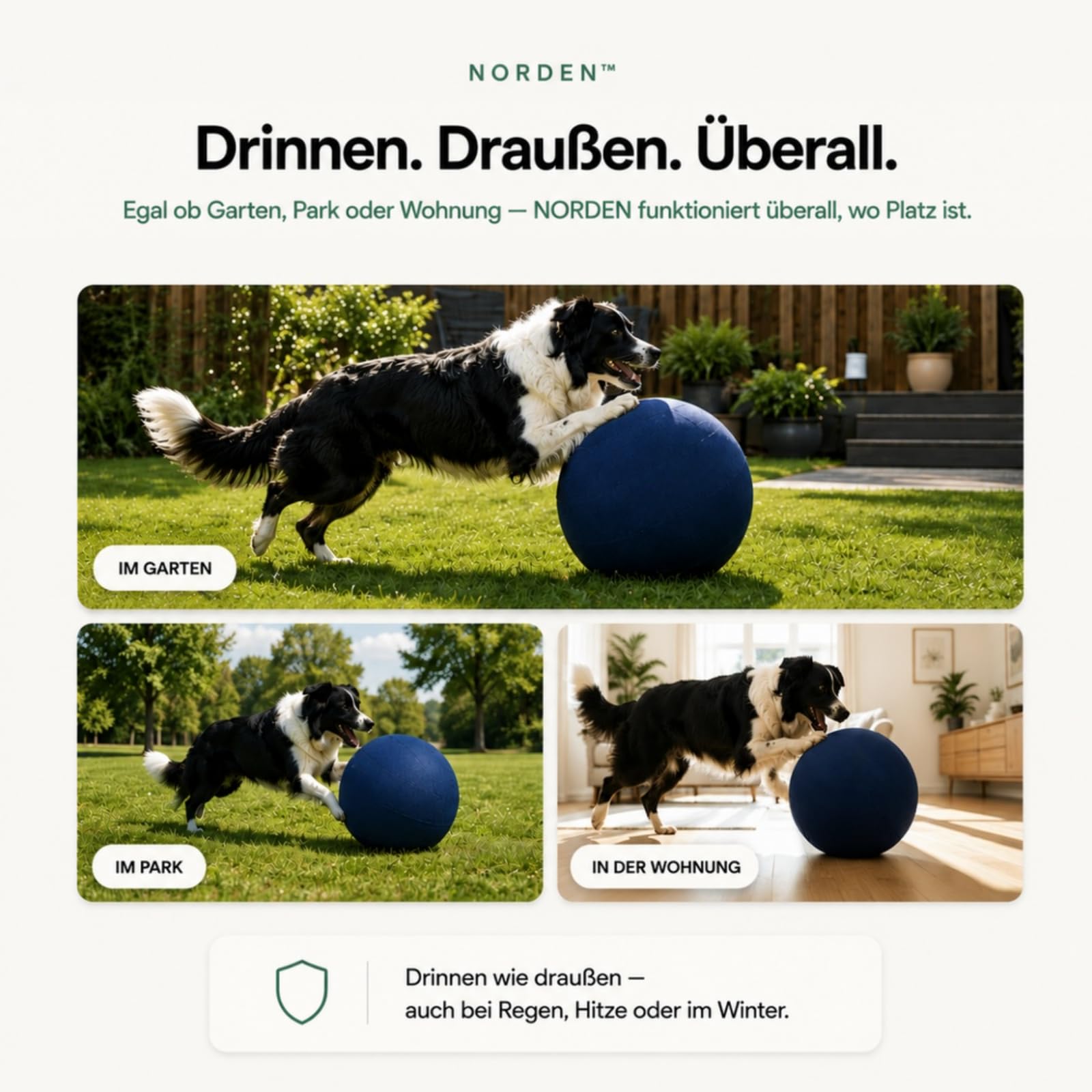 Lentiva Treibball Original,Norden Treibball,Ball für Hunde,Kau und kratzfestes Hundespielzeug mit Handschlaufe,Interaktives Hundeball für Innen und Außenbereich