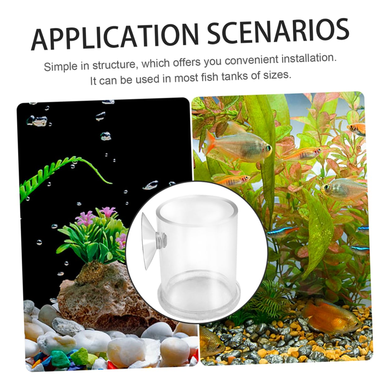 Happyyami 5stücke Acryl Fischfütterer Mit Saugnapf Futterring Für Aquarien Für Garnelen Und Kleine Tropische Fische Langlebig Und Leicht Zu Reinigen Für Süß Und Salzwasser Geeignet