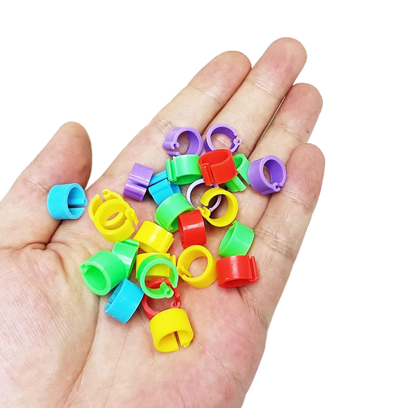 Anelli Per Piedi Uccelli XINGLIDA - 200 Pezzi Colorati Per Pollame - Foto 3