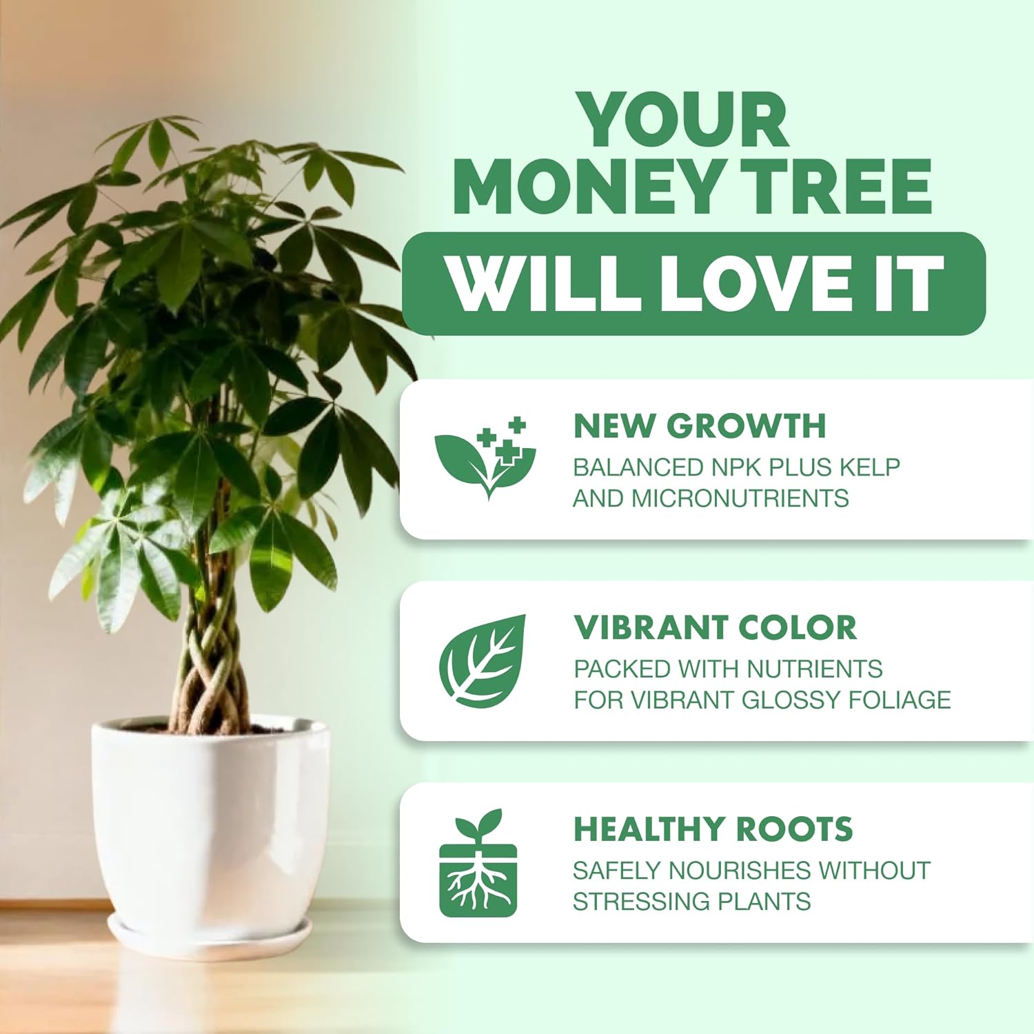 Money Tree Fertilizer for Money Trees and All Pachira Plants, Liquid Plant Food 8 oz (250mL) - Image 2