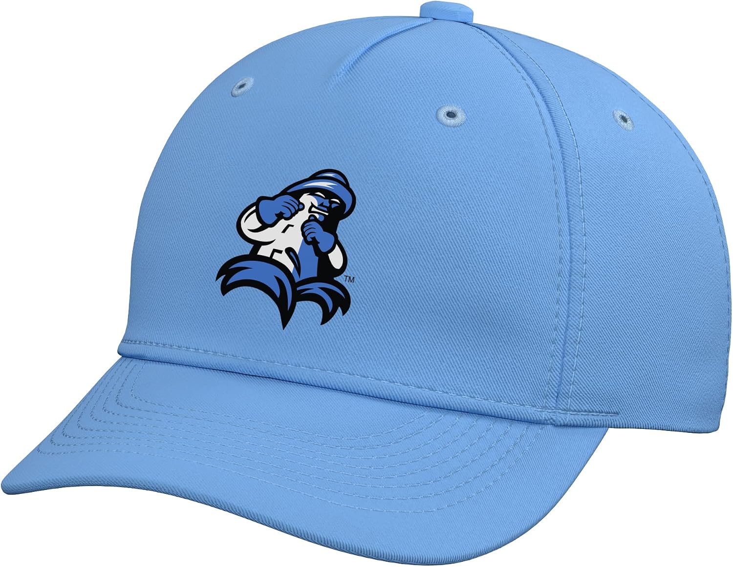 UMass Boston Beacons | Official NCAA Merch | PPMASB07 Adjustable Printed Baseball Hat