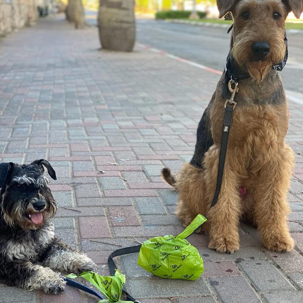Sacchetti per escrementi per cani con manici, 30 rotoli da 450 pezzi, a prova di perdite e extra spessi, profumati, per passeggiate con cani di taglia piccola e media