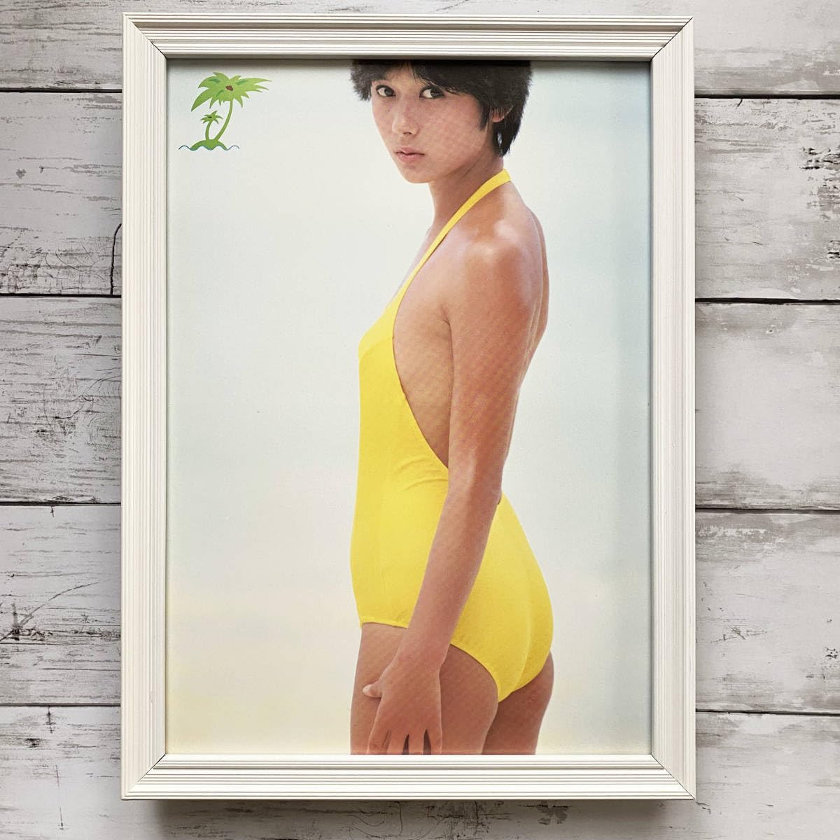 Amazon.co.jp: 額装斉藤慶子 水着/若い頃/80年代/アイドル
