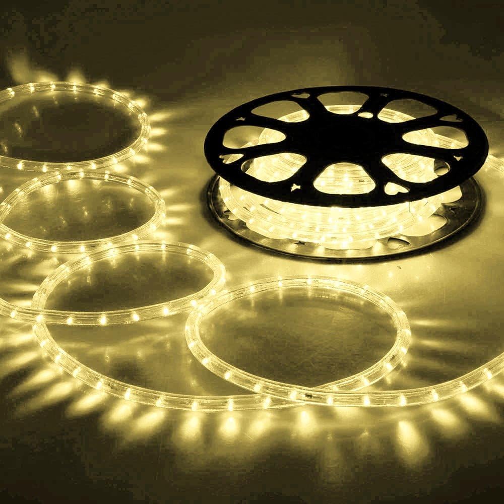 DELight 150ft Warm White 2 Wire LED Rope Light Outdoor Home Holiday Valentines Party Restaurant Cafe Decor